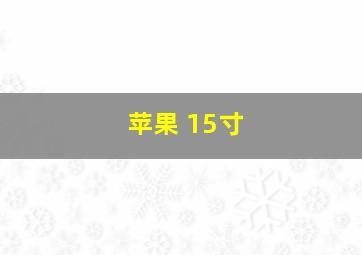 苹果 15寸